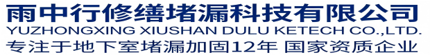 武清雨中行科技防水堵漏工程有限公司